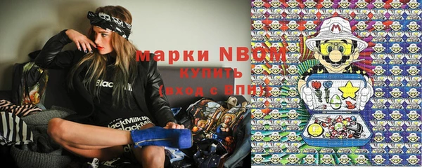 шишки Каменногорск