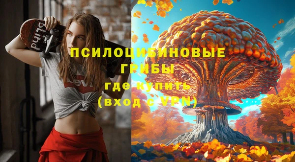 не бодяженный Новозыбков