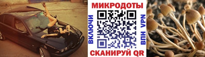 Псилоцибиновые грибы GOLDEN TEACHER  купить закладку  Адыгейск 