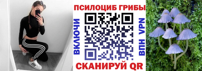 Псилоцибиновые грибы мухоморы Адыгейск